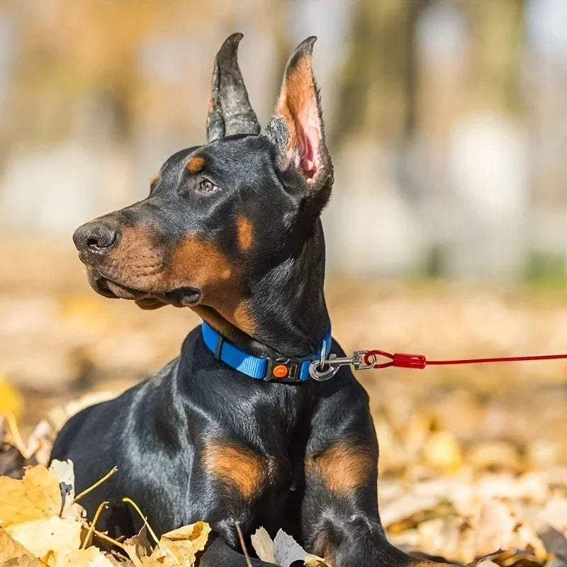 High Quality 5mm*3m Lengthen Steel Wire Dogs Chain Rope-Durable Double-end Dogs Leash- Cable Dual Heads Metal Hooks-Collars/Leashes