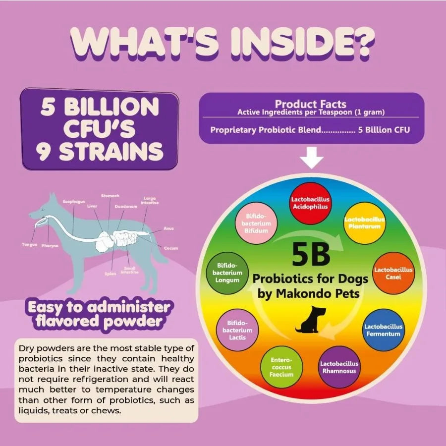 Probiotics for Dogs Puppies Extra Strength 9 Species 5 Billion CFU per Scoop of Dog Probiotics and Digestive Enzymes for Dogs