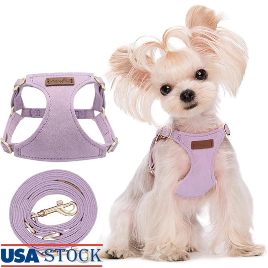 Adjustable No Pull XXS Puppy Harness- Soft Escape Proof Pet Vest with Multifunctional Dog Leash- Lightweight Breathable Small Dogs