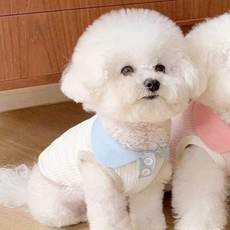 Summer Pet Dog Polo Shirt- Breathable Dog Clothes- Vest -Cute- Solid Shirt- Soft -Sizes XS-XXL- Costumes/Apparel
