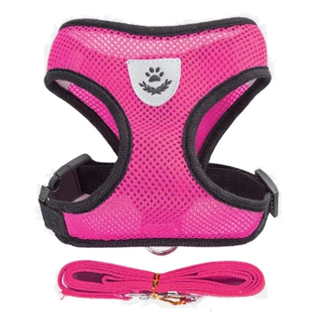 Dog Harness Walking Lead Leash-Polyester- Adjustable Mesh-sizes S to XL-Collars/Leashes