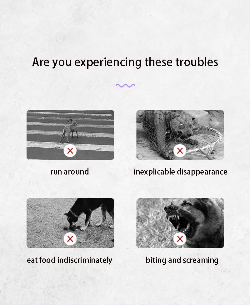 Slip Rope Lead Leash- Heavy Duty Braided Rope- Adjustable Loop Collar- Training Leashes for Small to Medium  Dogs-Collars/Leashes