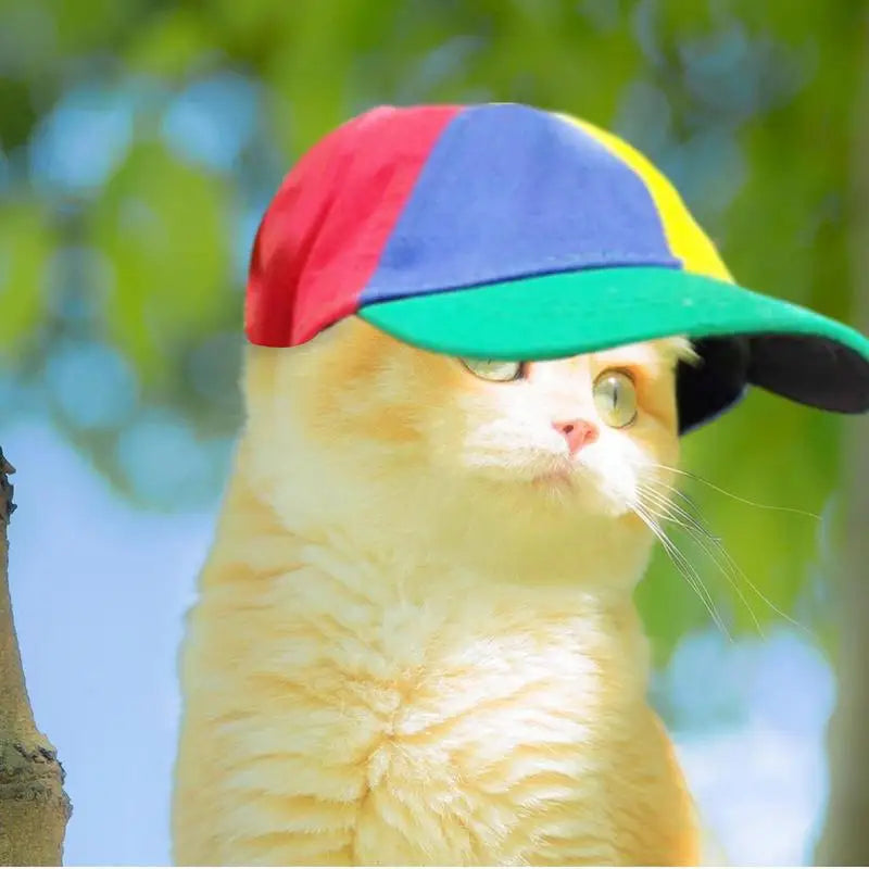 Colorful Pet Propeller Hat With Ear Holes -Sizez S to L-Sunproof Dogs Rainbow Helicopter Top Hat-Costumes/Apparel