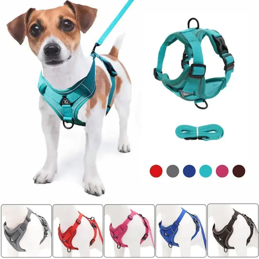 No Pull Dog Harness and Leash Set -Adjustable- Harness Vest- Sizes S to XL-Collars/Leashes