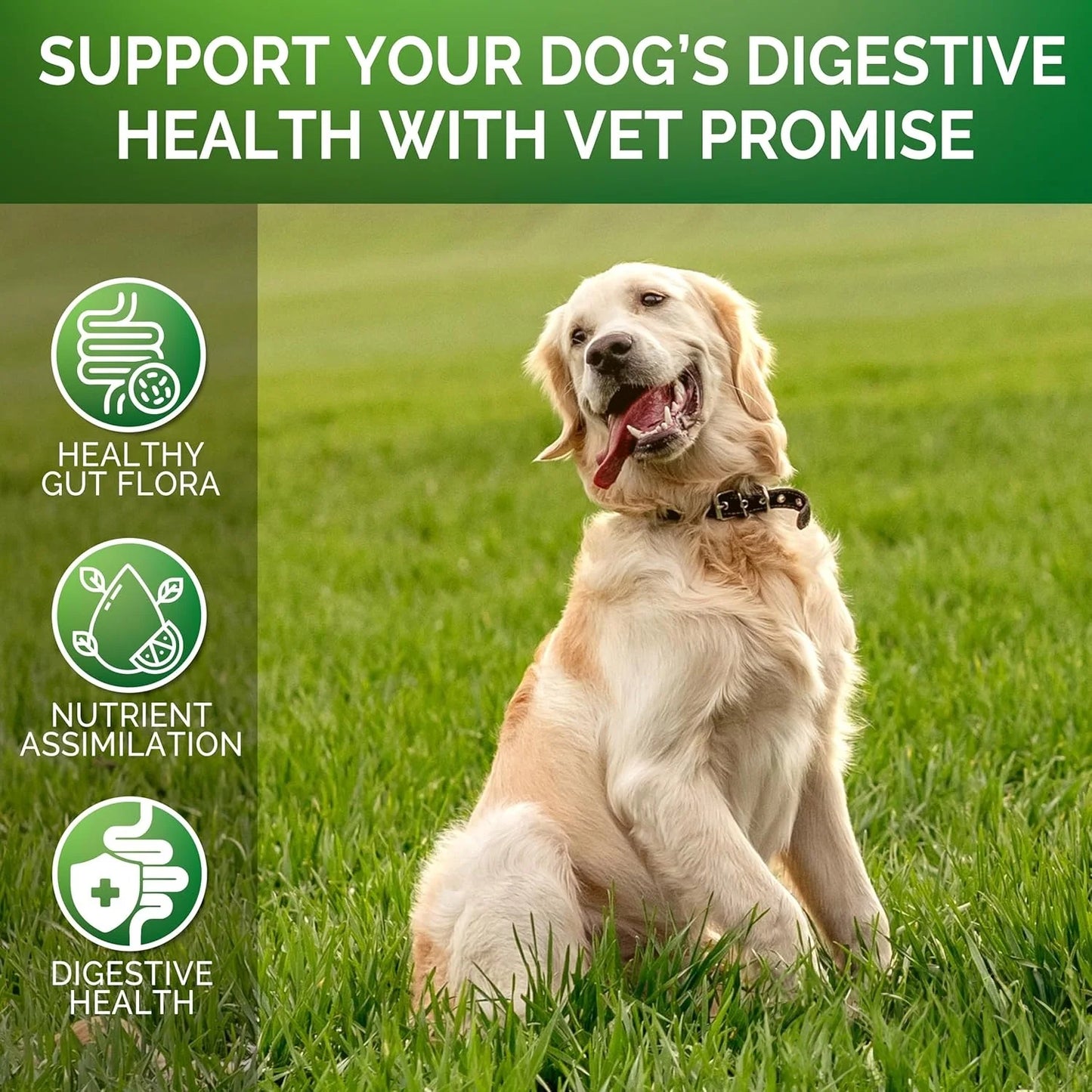 120 Chews Probiotics for Dogs-  - Relieve stomach sensitivity-for gut health- Digestive Remedies-Pet Supplements