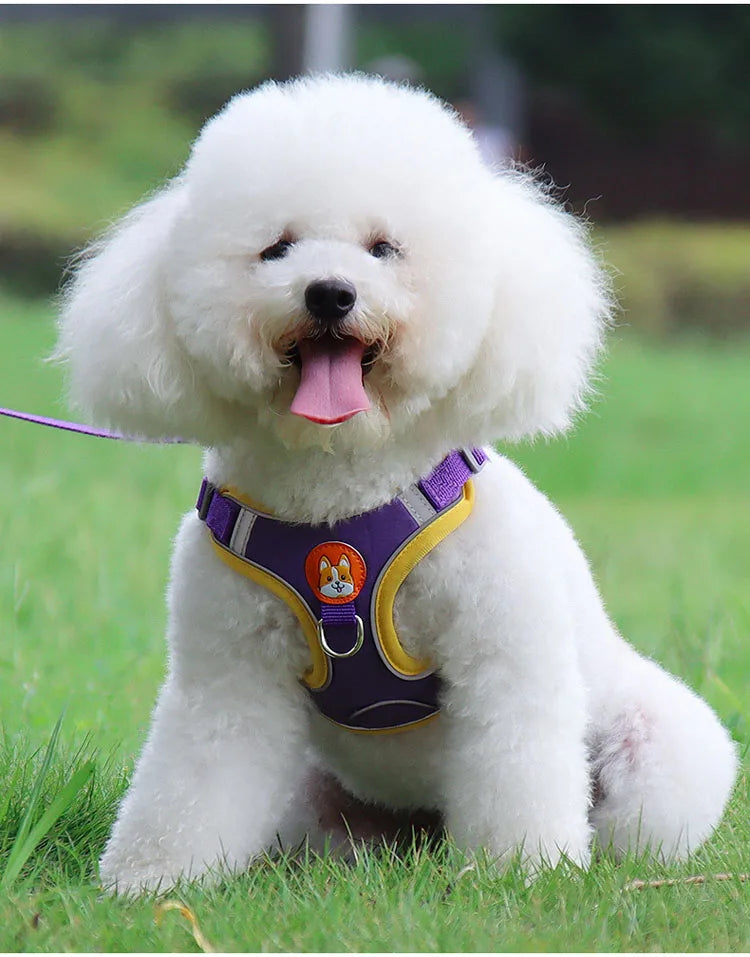 Pet Dog Harness and Leash Set- Adjustable Flannel Chest Harness -Reflective Breathable For Small Dogs Teddy Chihuahua-Collar/Leashes