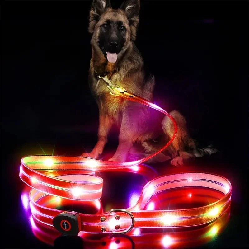 LED Light-Up Dog Leash- Walking- Safety- Glow in The Dark- USB Rechargeable- Adjustable- for Large Medium Small Pet Lighted Dog Collar