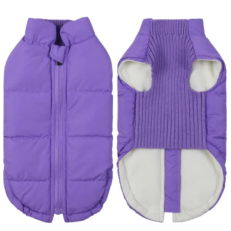 Winter Warm Dog Cotton Coats- Back Zipper- Windproof- Thickness Clothes for Small Medium Dogs Chihuahua French Bulldog Outfits