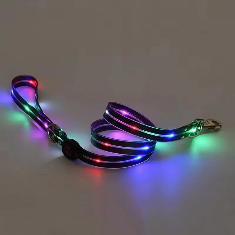 LED Light-Up Dog Leash- Walking- Safety- Glow in The Dark- USB Rechargeable- Adjustable- for Large Medium Small Pet Lighted Dog Collar