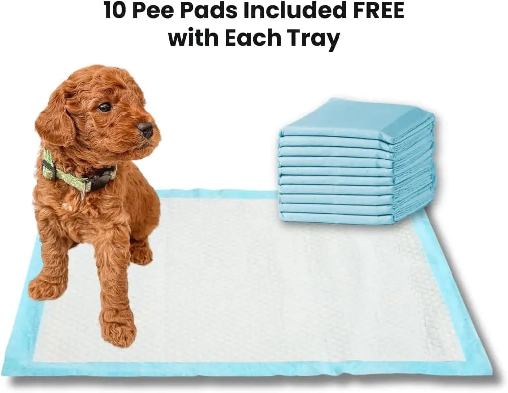 Puppy Potty Tray – 22x22 Shred-Proof Heavy-Duty Training Tray for Puppies & Small Dogs-Easy-Clean- Indoor Dog Pee Pad Holder