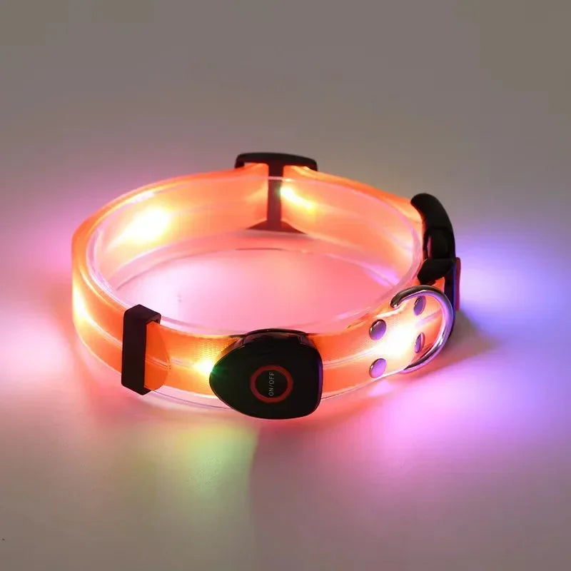 LED Light-Up Dog Leash- Walking- Safety- Glow in The Dark- USB Rechargeable- Adjustable- for Large Medium Small Pet Lighted Dog Collar