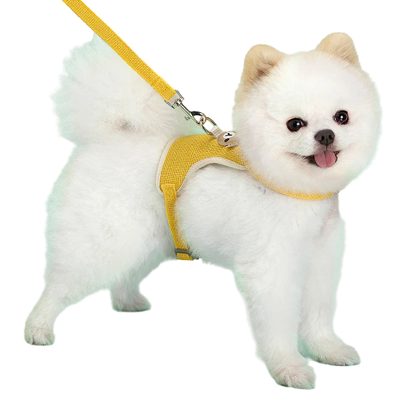 Cute Teddy Bear Pet Harness Leash Set for Small Mid Dogs-Collars/Leashes