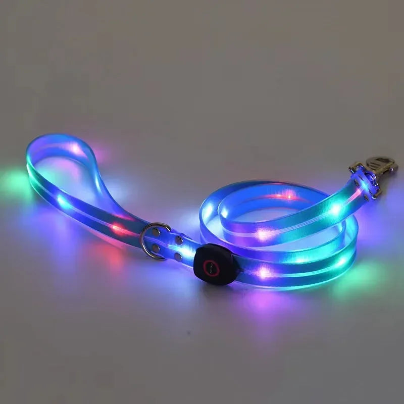 LED Light-Up Dog Leash- Walking- Safety- Glow in The Dark- USB Rechargeable- Adjustable- for Large Medium Small Pet Lighted Dog Collar