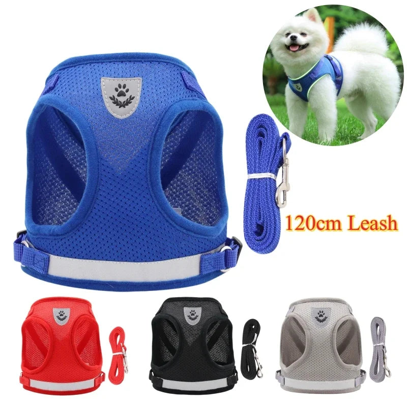 Adjustable Pet Dog Harness and Leash Set- Harness Vest for Dogs