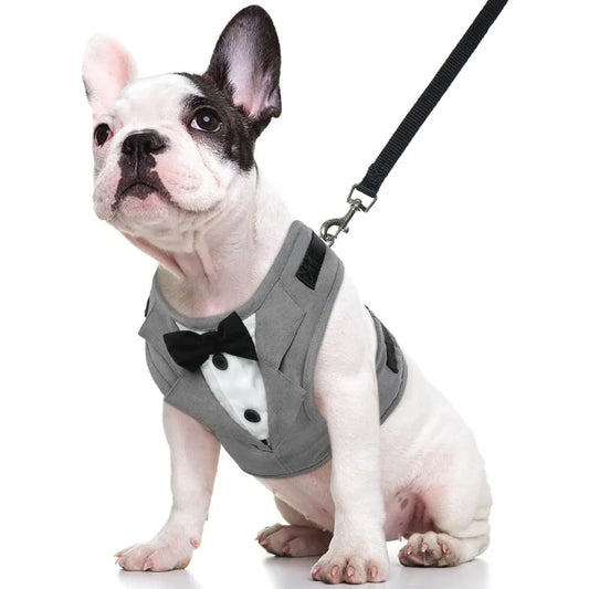 Adjustable Tuxedo Dog Harness for Small and Medium Dogs with No-Pull Design- Elegant Wedding Suit- Sizes 2XS to L-Costume/Apparel