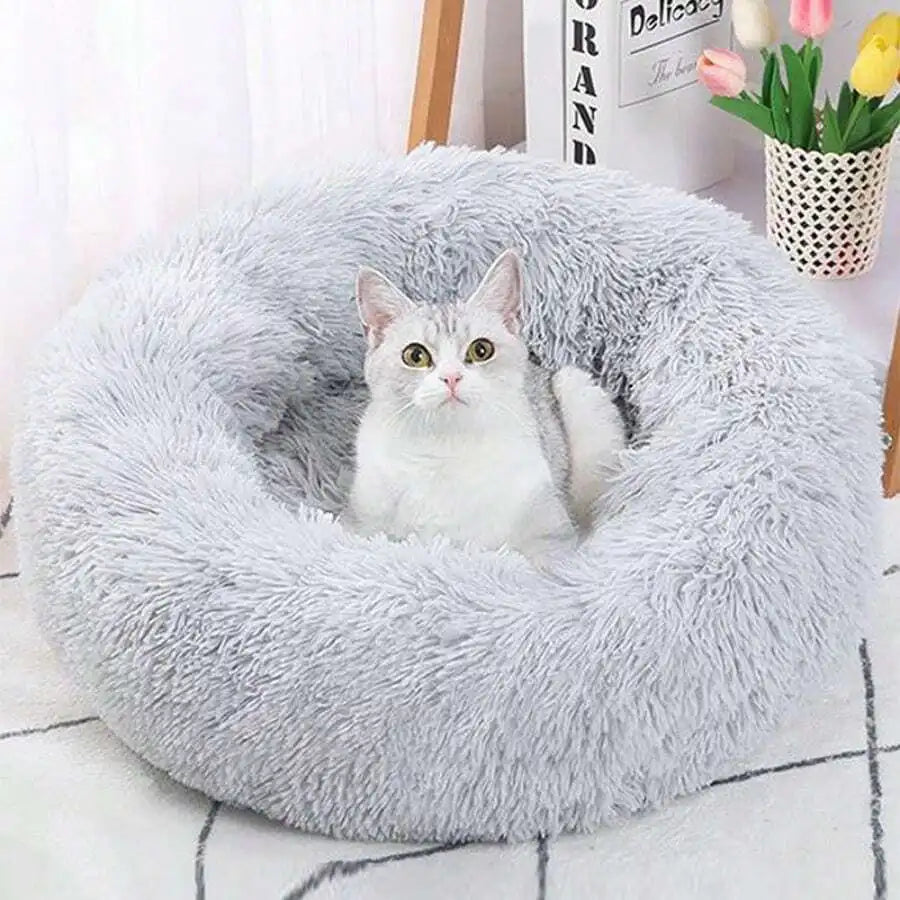 Comfortable/Warm Pet Bed- Padded- Suitable For Small to Extra Large Sized Dogs-Beds & Blankets