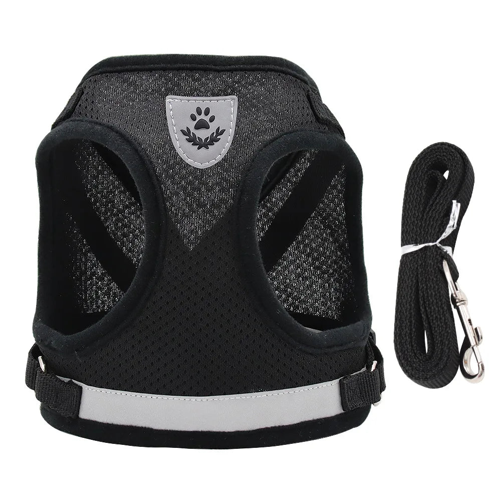 Adjustable Pet Dog Harness and Leash Set- Harness Vest for Dogs