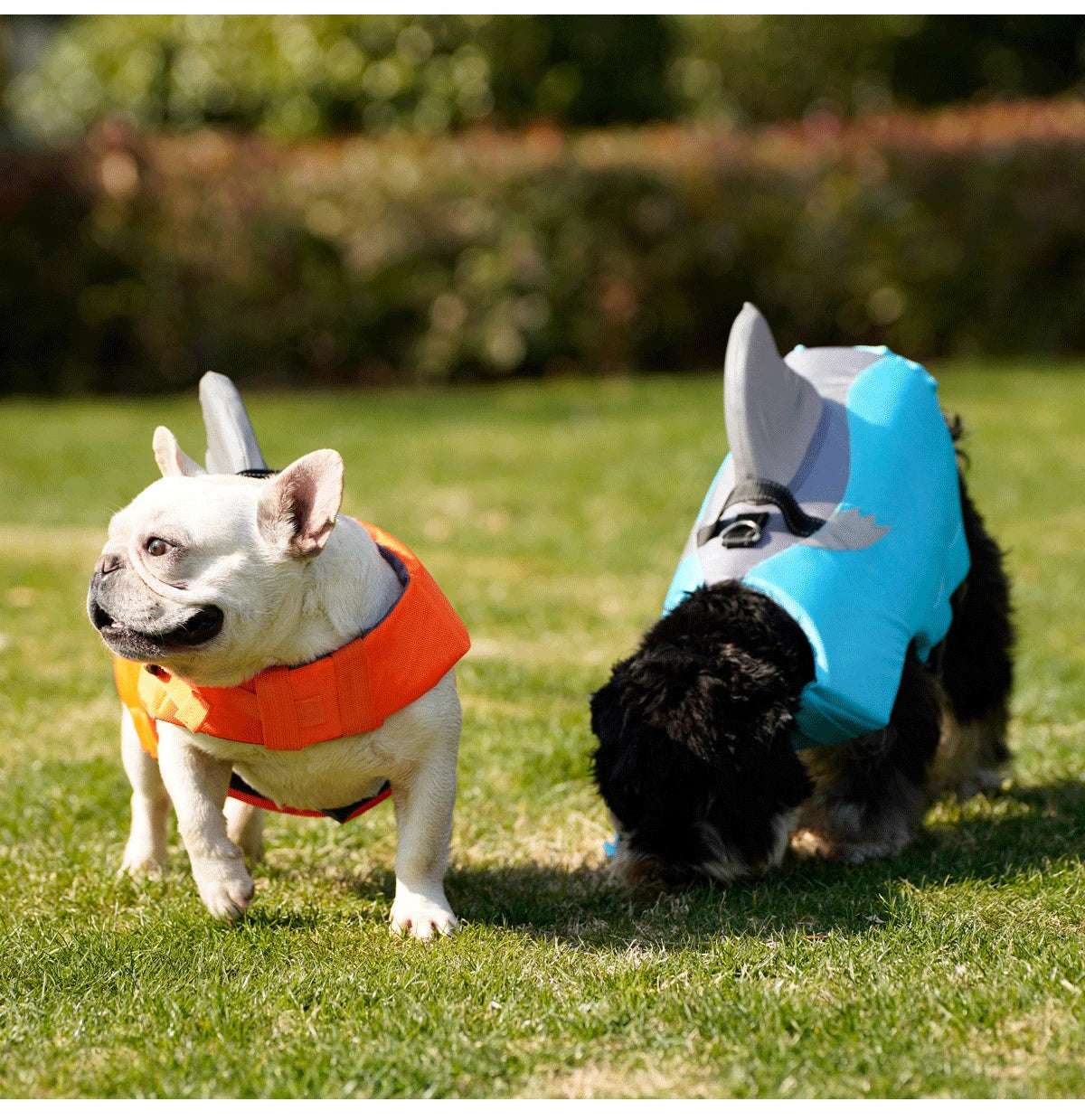 Dog Life Jacket- High Buoyancy -Dog Safety Vest with Rescue Handle-Sizes XS to XXL-Reflective- Swim Vest-Training