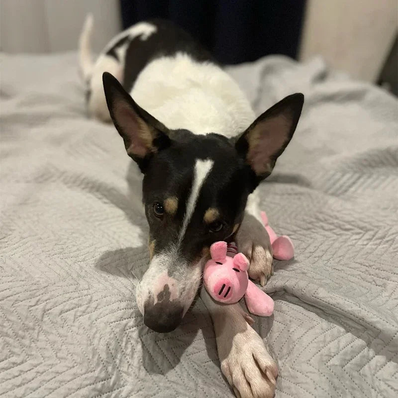 Animals Shape Plush Dog Toy- Bite Resistant-Squeaky Toys for Small Dogs- Interactive Chew-Dog Toys