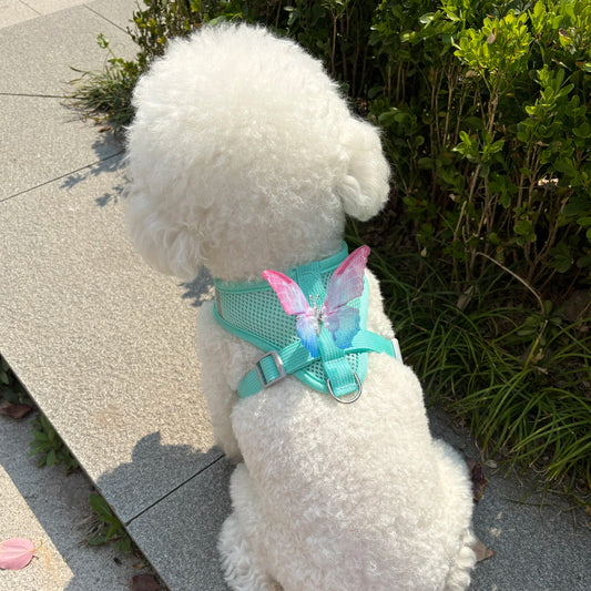 Cute Butterfly Breathable Dog Harness Set for Small Dogs- Vest-Leash