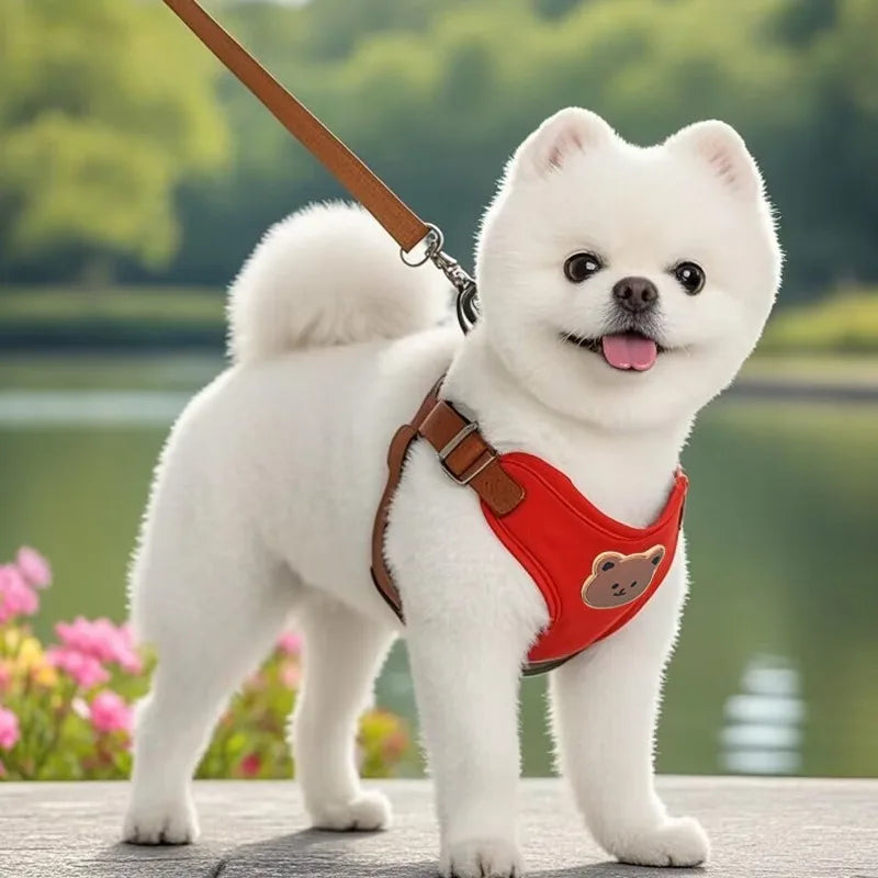 Pet Dog Harness/ Leash Set- Small/ Medium Dogs- Vest- Breathable -Chest Strap-sizes XS-XL-Collars/Leashes