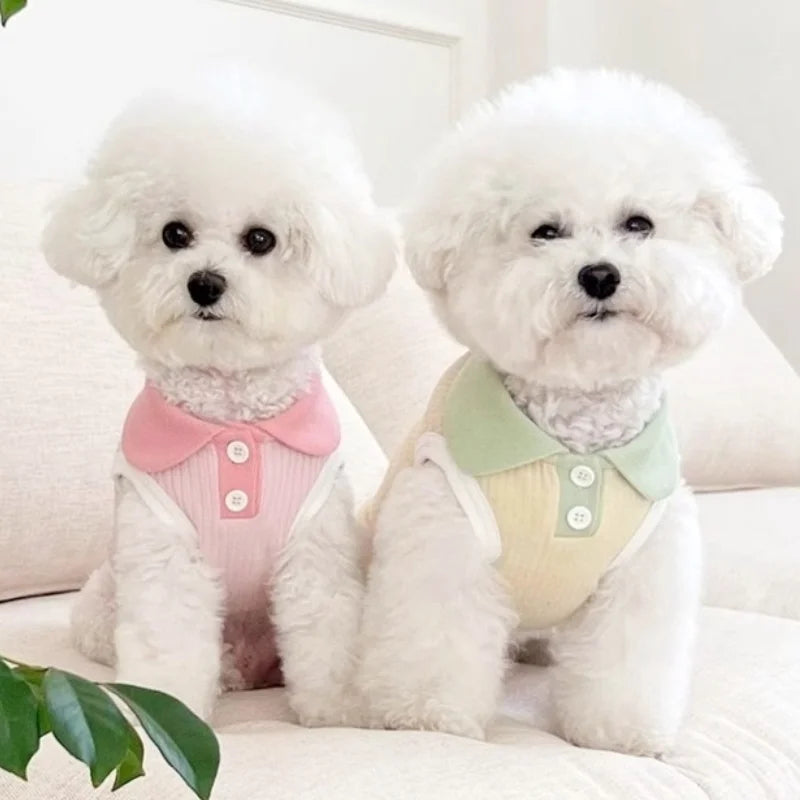 Summer Pet Dog Polo Shirt- Breathable Dog Clothes- Vest -Cute- Solid Shirt- Soft -Sizes XS-XXL- Costumes/Apparel