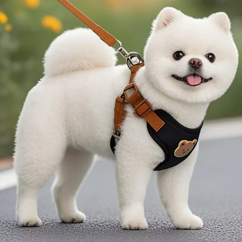 Pet Dog Harness/ Leash Set- Small/ Medium Dogs- Vest- Breathable -Chest Strap-sizes XS-XL-Collars/Leashes