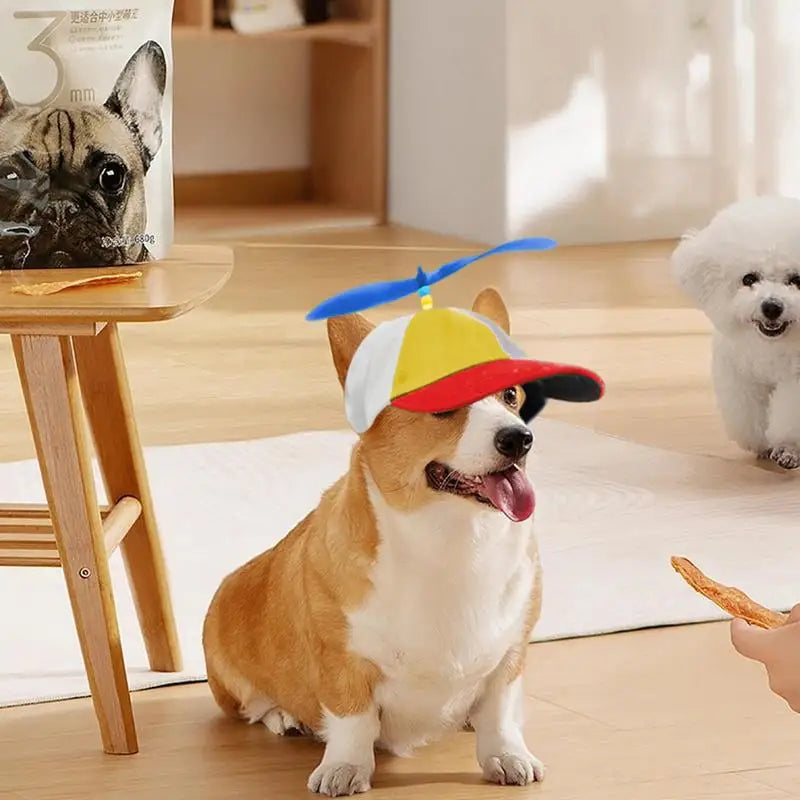 Colorful Pet Propeller Hat With Ear Holes -Sizez S to L-Sunproof Dogs Rainbow Helicopter Top Hat-Costumes/Apparel