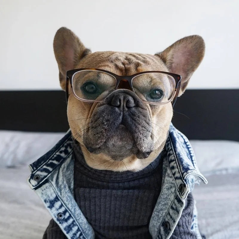 Dog Denim Vest Jacket-Sizes S-3XL-Costumes/Apparel