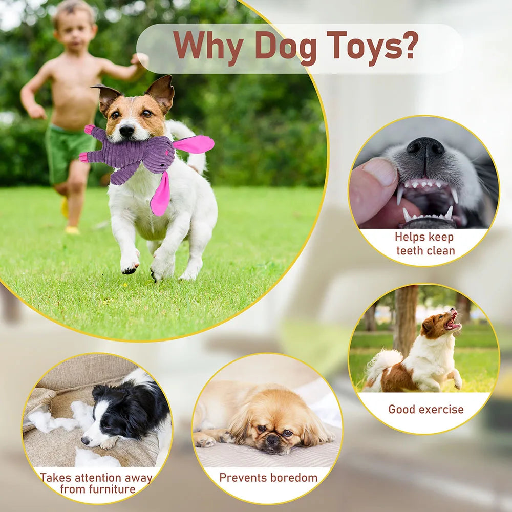 5 Pack Dog Toys- Plush Dog Squeaky Toys- Assortment Value -Bundle Animal Pet Toy for Small Medium Large Dogs-Dog Toys