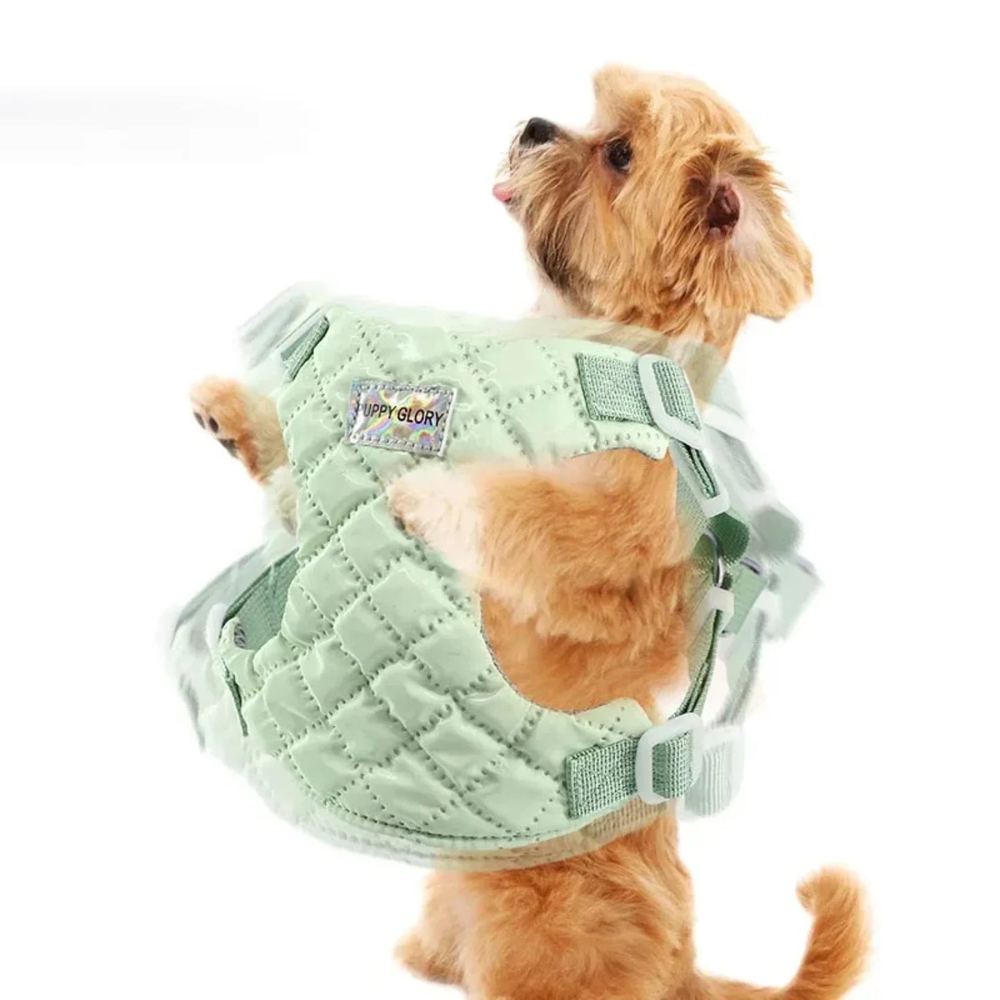 Waterproof Dog Harness -Puppy Dog Vest Harness  Small Medium Dogs -Adjustable Dog Chest Strap