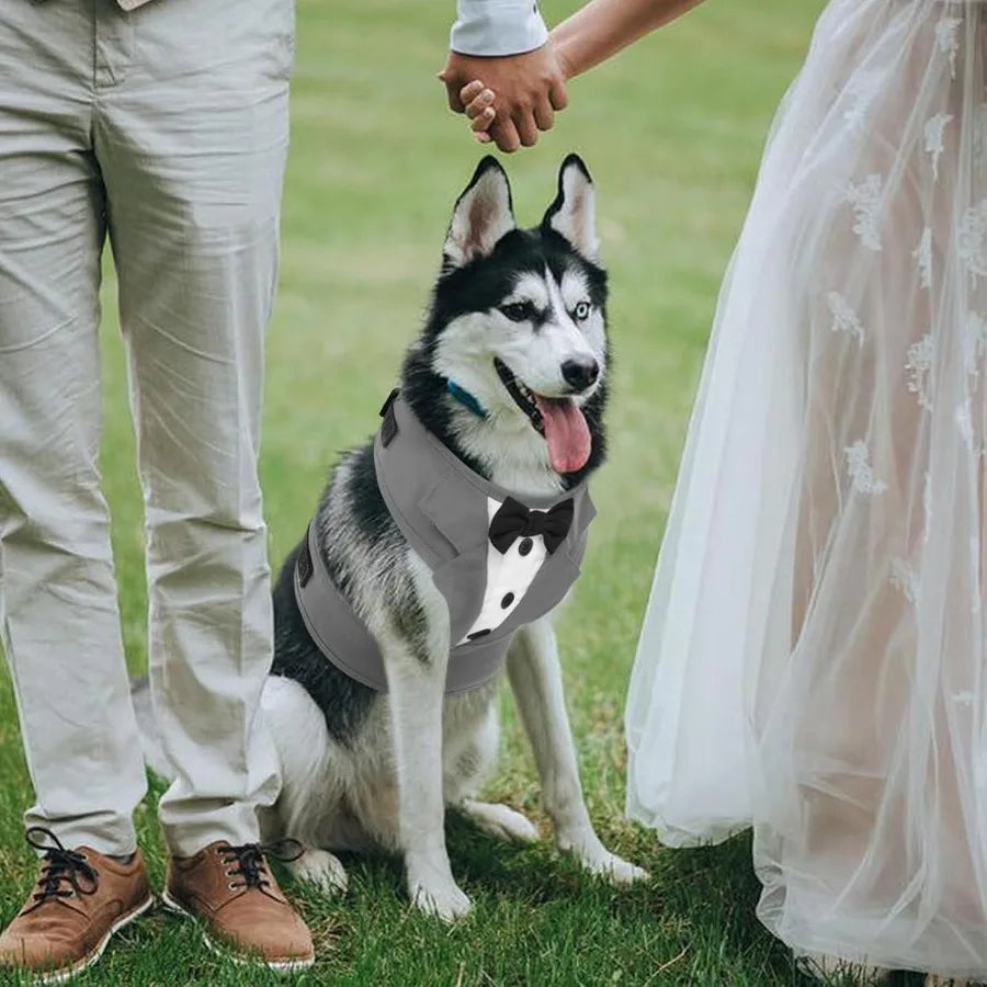 Adjustable Tuxedo Dog Harness for Small and Medium Dogs with No-Pull Design- Elegant Wedding Suit- Sizes 2XS to L-Costume/Apparel