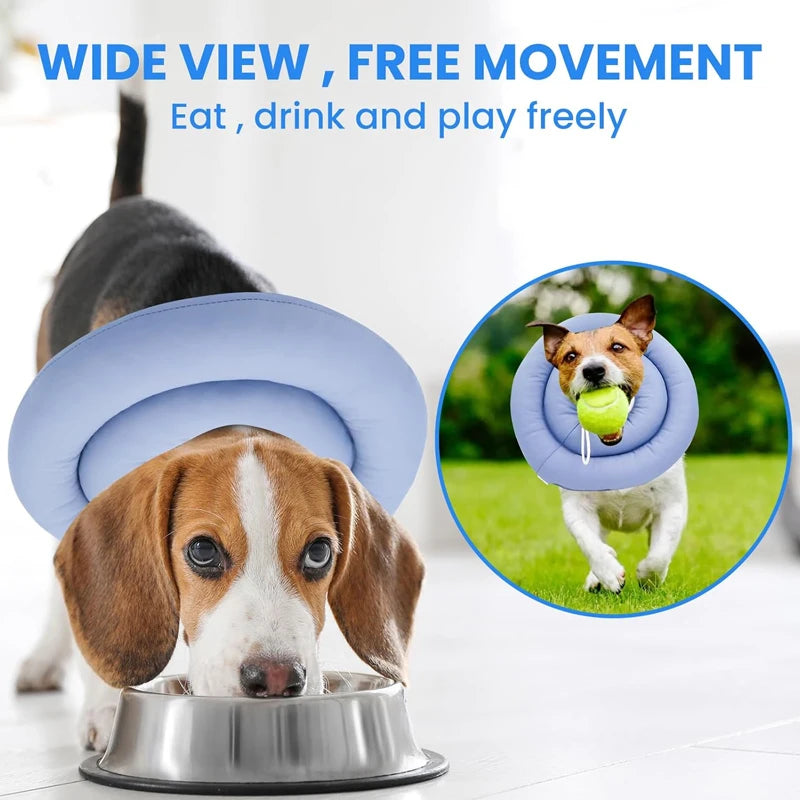 Wound Recovery Collar- Adjustable-Ring Collar- Prevent Licking-size S to XL-Collar/Leashes