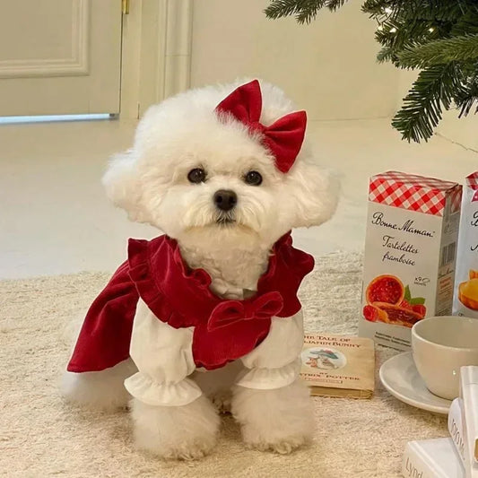 Christmas Princess Dress- Bow Knot -Winter Warm Dog Clothes