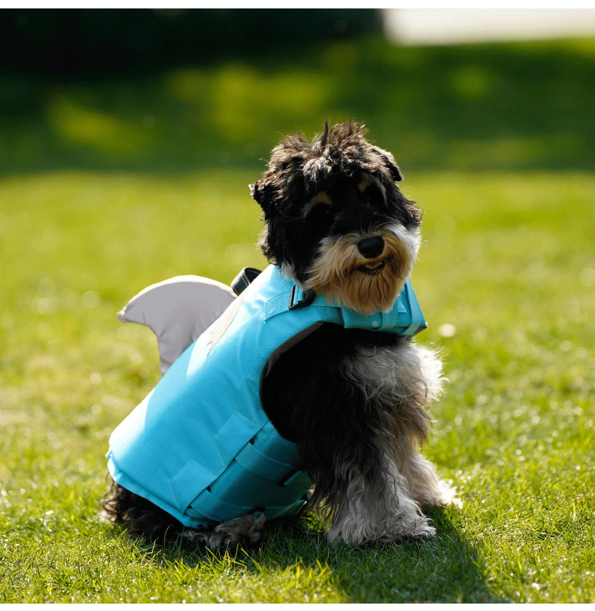 Dog Life Jacket- High Buoyancy -Dog Safety Vest with Rescue Handle-Sizes XS to XXL-Reflective- Swim Vest-Training