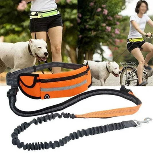 Hands Free Dog Leash with Zipper Pouch- Reflective Bungee for Medium  Dogs- Walking Jogging and Running