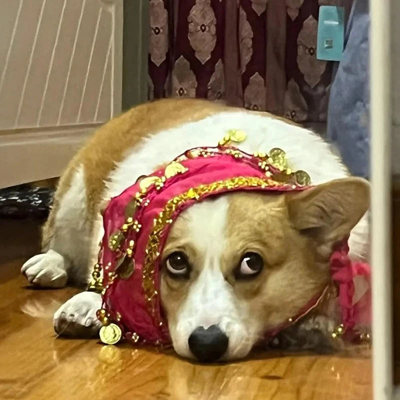 Corgi Belly Dance Hip Towel- Decorative Belt- Dog Skirt-Costumes/Apparel