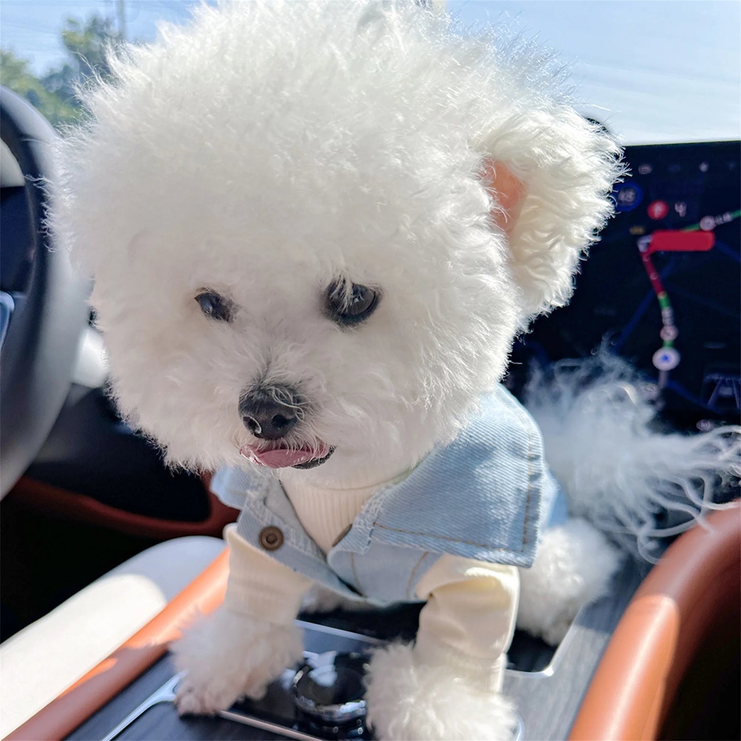 Pet Denim Jacket Vest Costume Vintage Jean Coat Shirt Cosplay Outfit for Everyday Wear and Special Occasions