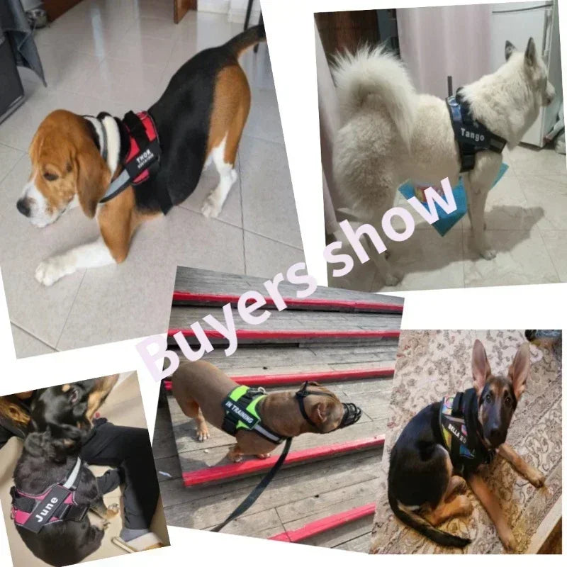 Dog Collar Harness ID Custom Patch-Reflective- Breathable No Pull Vest- Sizes XS to 2XL-Collars/Leashes