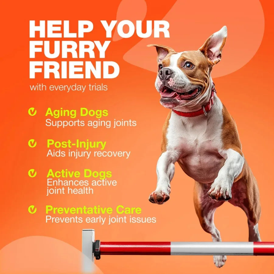 Glucosamine for Dogs Hemp Hip and Joint Supplement for Dogs Glucosamine Chondroitin Chews with MSM Turmeric Collagen for Mobility