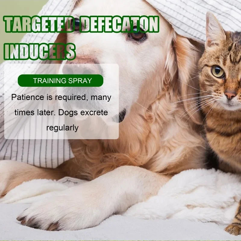 Toilet Training Spray-30ml- Induces Dog to go where you want- Urine Feces Positioning Trainer-Pet Grooming