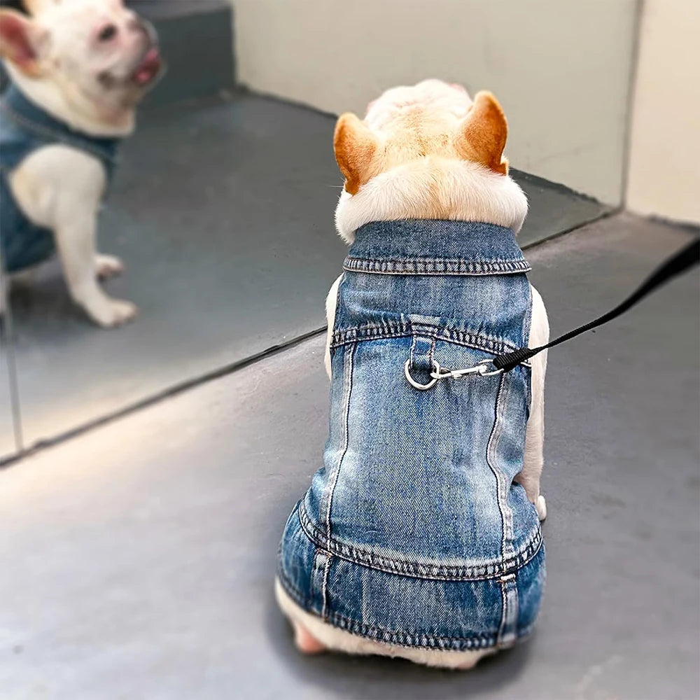 Retro Designer Dog Jeans Jackets Vest for Small Dogs- Handsome Denim Jacket- Durable- Sizes XS-XXL-Costumes/Apparel