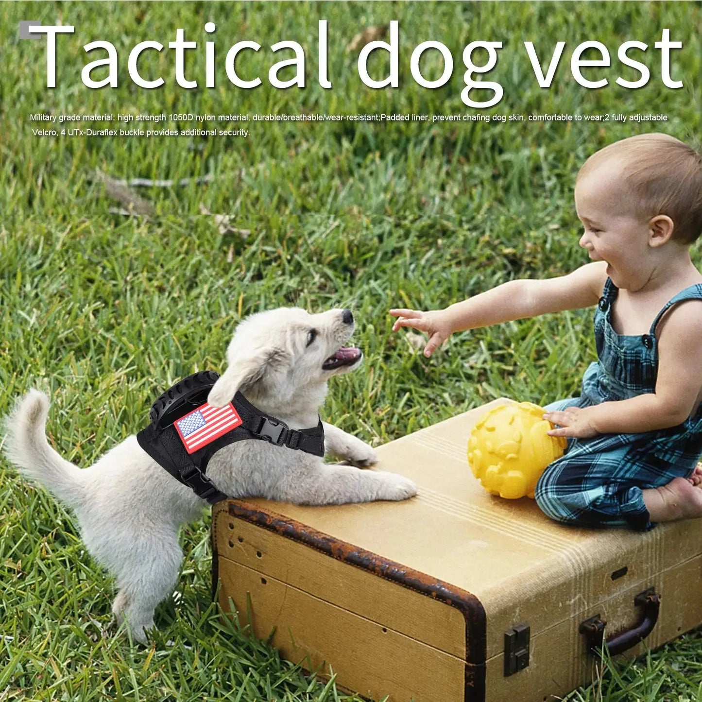 Tactical Puppy Harness Leash Set- For Small Dogs- Adjustable- Harnesses Vest For Training-Military-Collars/Leashes