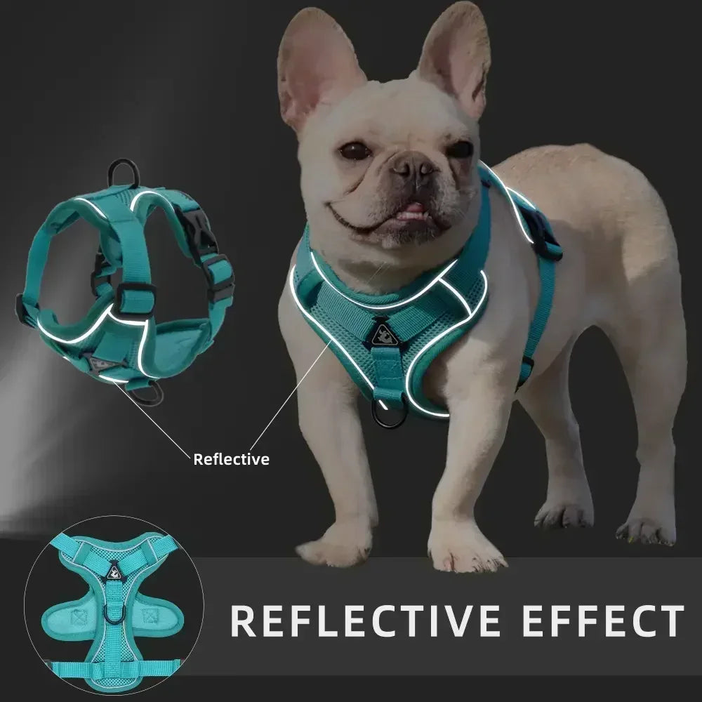 No Pull Dog Harness and Leash Set -Adjustable- Harness Vest- Sizes S to XL-Collars/Leashes