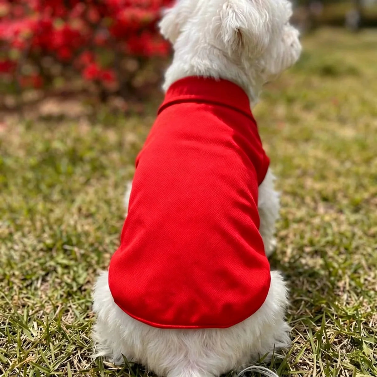 Solid Red Polo Shirts- Puppy Thin Breathable T-shirt- Vest Bipod-Skin Friendly-Delicate-Sizes XS-2XL-Costume/Apparel