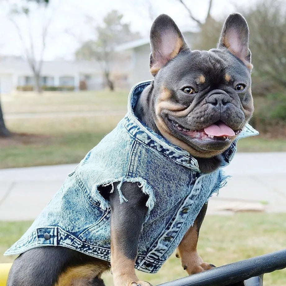 Dog Denim Vest Jacket-Sizes S-3XL-Costumes/Apparel