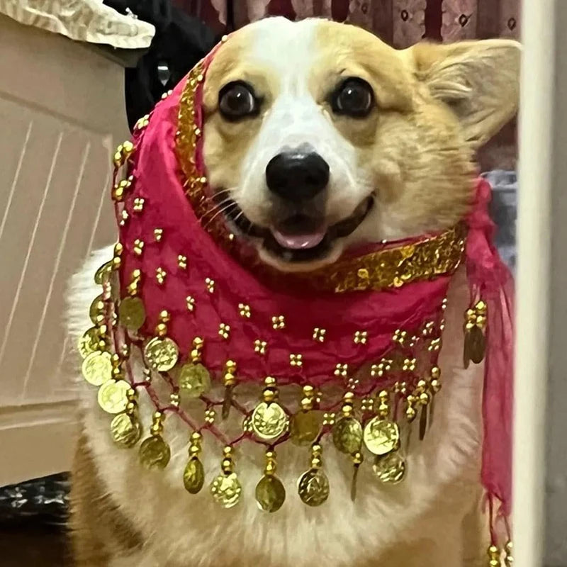 Corgi Belly Dance Hip Towel- Decorative Belt- Dog Skirt-Costumes/Apparel