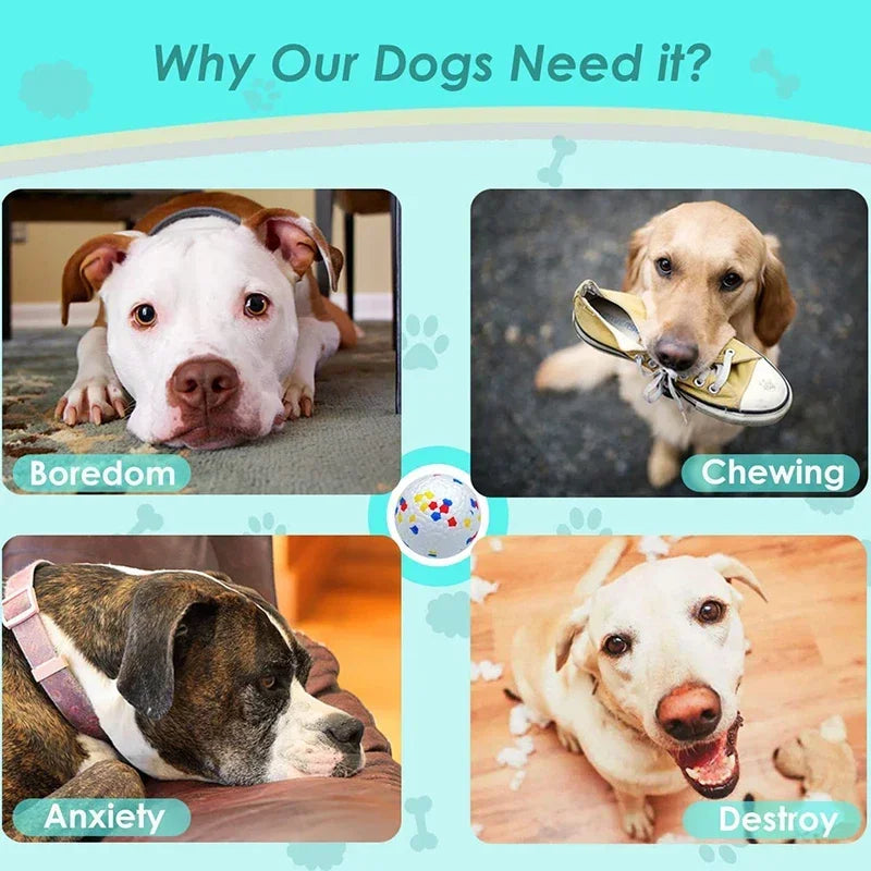 Bite Resistant Solid Dog Ball Toys for Small to Large Dogs- High Elasticity E-TPU Pet Chew Ball Toy -Non Squeak- Interactive-Dog Toys
