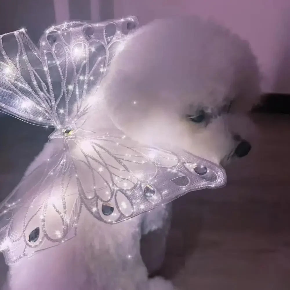 Dog Wings- Glowing Butterfly- Cute Accessories Dog Clothes for Small Medium dogs