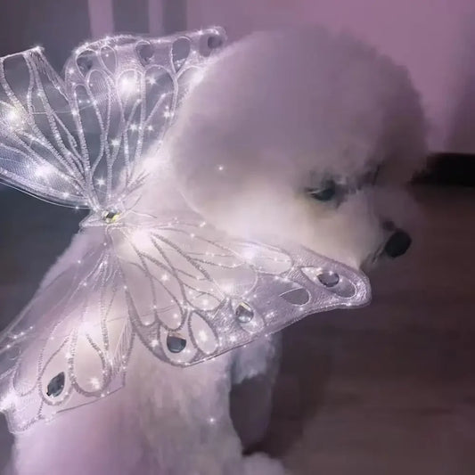 Dog Wings- Glowing Butterfly- Cute Accessories Dog Clothes for Small Medium dogs